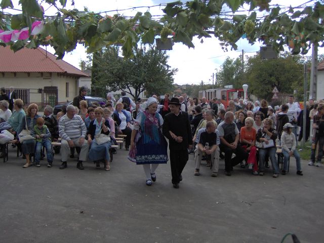 2007.szüretis 065.jpg